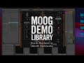 Moogerfooger Effects Plug-ins | CV Interconnectivity
