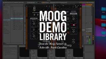 Moogerfooger Effects Plug-ins | CV Interconnectivity