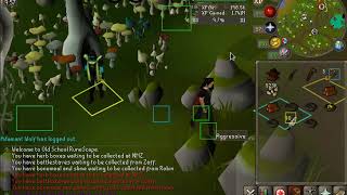 [OSRS] Efficient Birdhouse Run