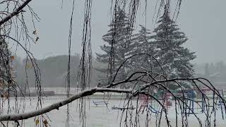 Light Snow Tele-Zoom Strathmore Ab 2022-11-01