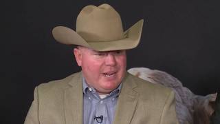 How Crossbreeding Impacts a Cattle Operation