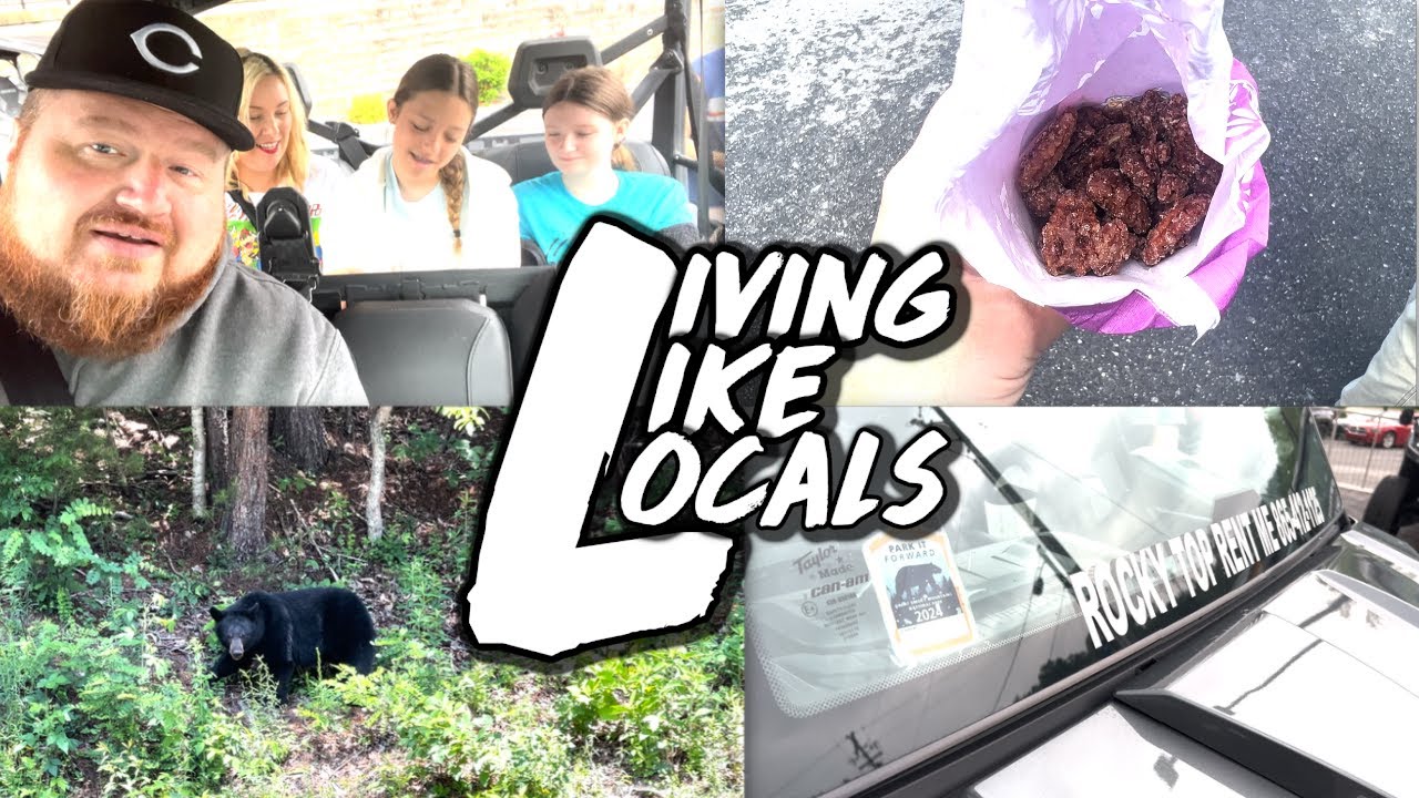 Cades Cove, UTV Rental,Bear and Homework. YouTube