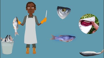 SeSAFE Training Module 6 - Fish Processing