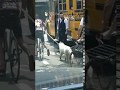 Hasidic Jew watering a dog.