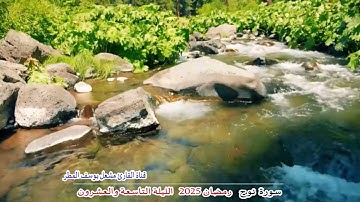 سورة نوح    ( رمضان 2025   الليلة التاسعة  والعشرون ) الشيخ مشعل يوسف المطر
