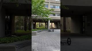 Guy Falls Into Bush While Attempting Stunt on BMX Bike -  1531983