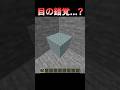 目の錯覚…？ #Shorts #Minecraft #マインクラフト #マイクラ