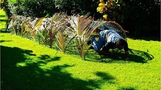 Commando Crawl Tunnel Exercise for your Fitness/Weight Loss Routine