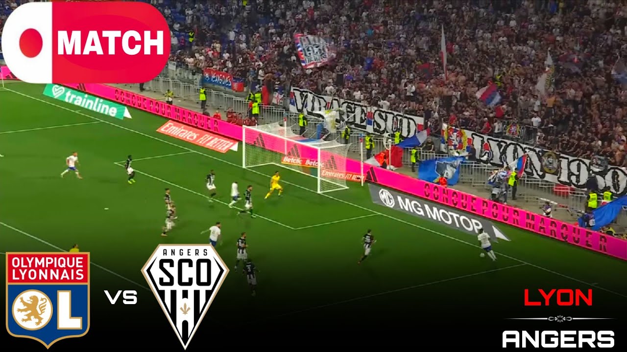 Football Fans in Stadium