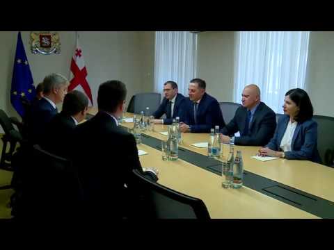 შინაგან საქმეთა მინისტრი ევროკავშირის სადამკვირვებლო მისიის ხელმძღვანელს შეხვდა