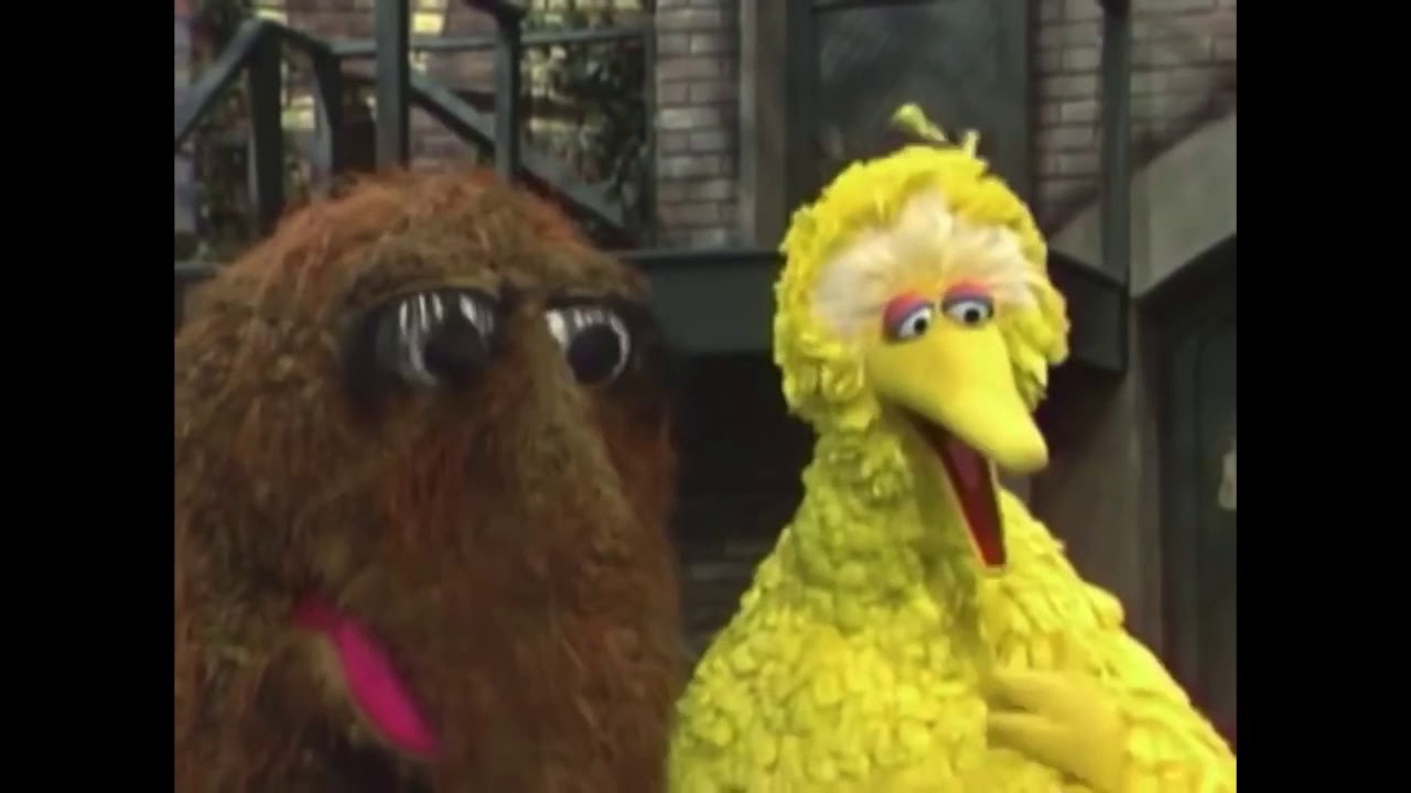 Big Birds Song YouTube