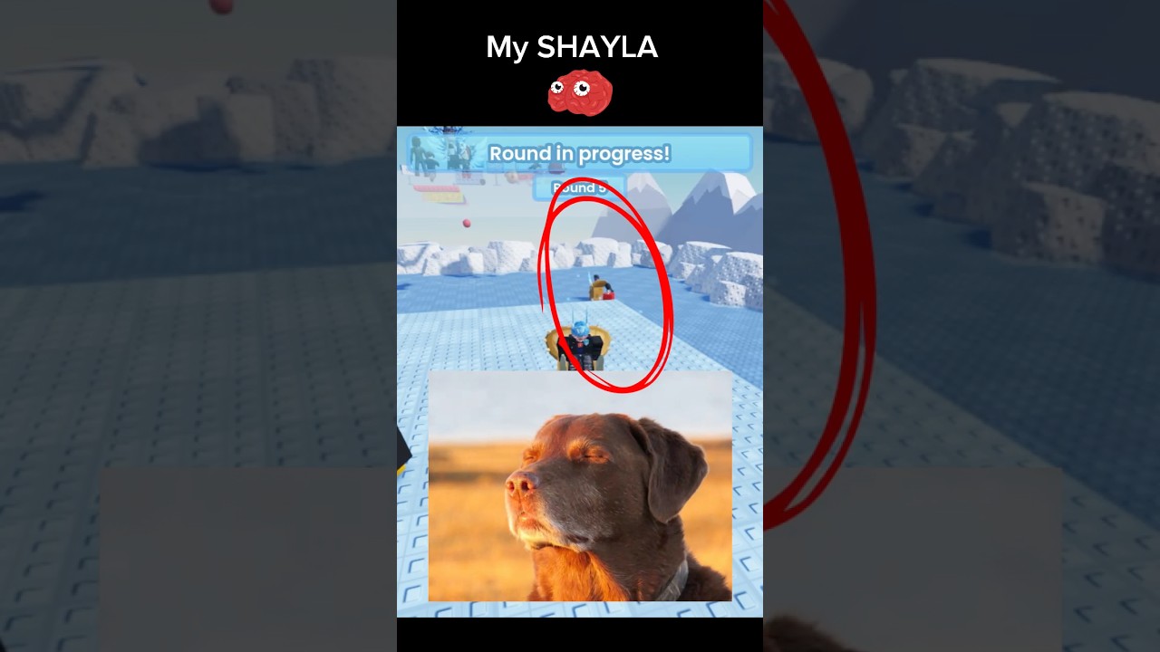 My Broguin bro died in the ice water 😌 | 