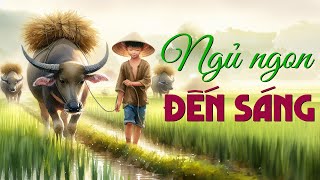 Tuyển Chọn Truyện Ngắn Nghe Là Ngủ Ngon Đến Sáng | Đọc Truyện Đêm Khuya Đài Tiếng Nói Việt Nam