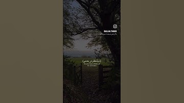 فذكر إن نفعت الذكرى ||القارئ||{عبد الرحمن مسعد}