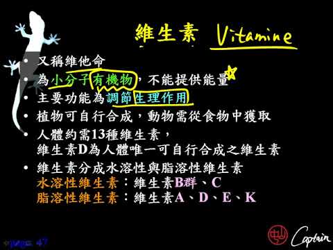 10601高一基礎生物1 2 17維生素一公