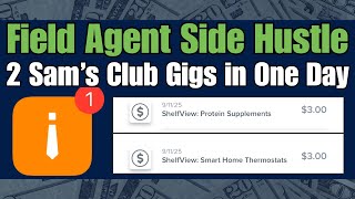 How Much Can You Make With Field Agent?