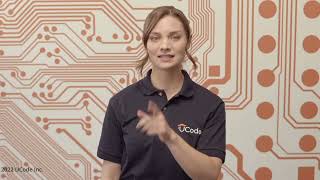 Unit 7 Loops in Scratch Net Worth