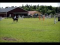 Ulrich van de zuuthoeve 1m slvesborg