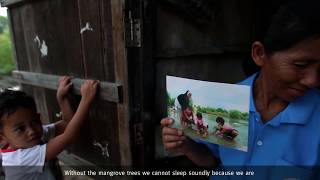 Local perspective: Mangroves as coastal protective barriers in Thailand