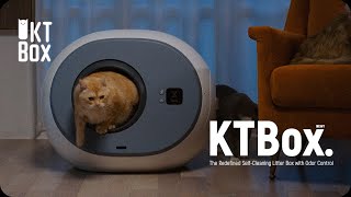 Best of Kickstarter 💡 KTBox Self-Cleaning Cat Litter Box @MyTopCrowdfundingProjects