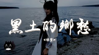 陳磐 - 黑土的鄉愁『黑土里滾大的娃名兒都帶著秋，像壟溝的麥子熟透就低了頭。』【動態歌詞 | Pinyin Lyrics】【PENGUIN MUSIC】