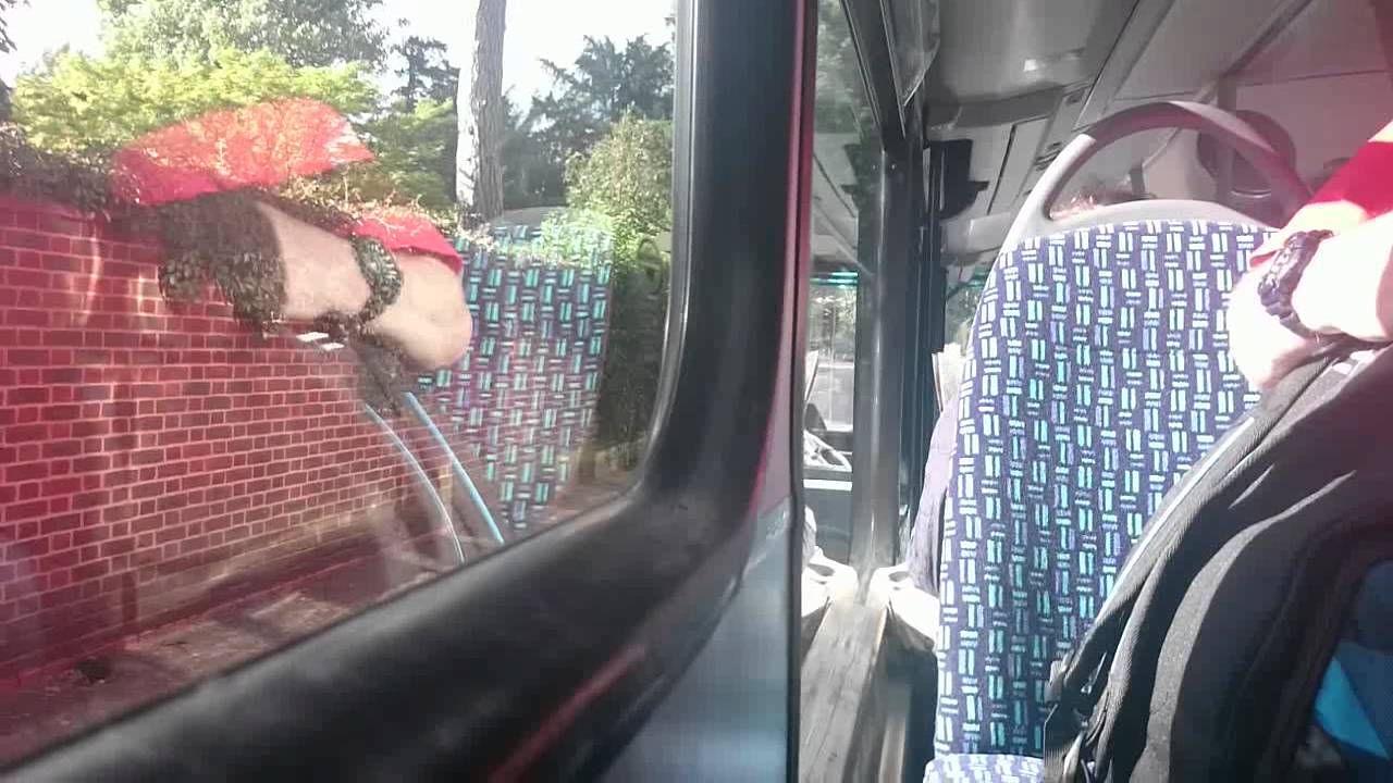 Shaky video of a new route 85 VH (VH45171 LJ16EVP)