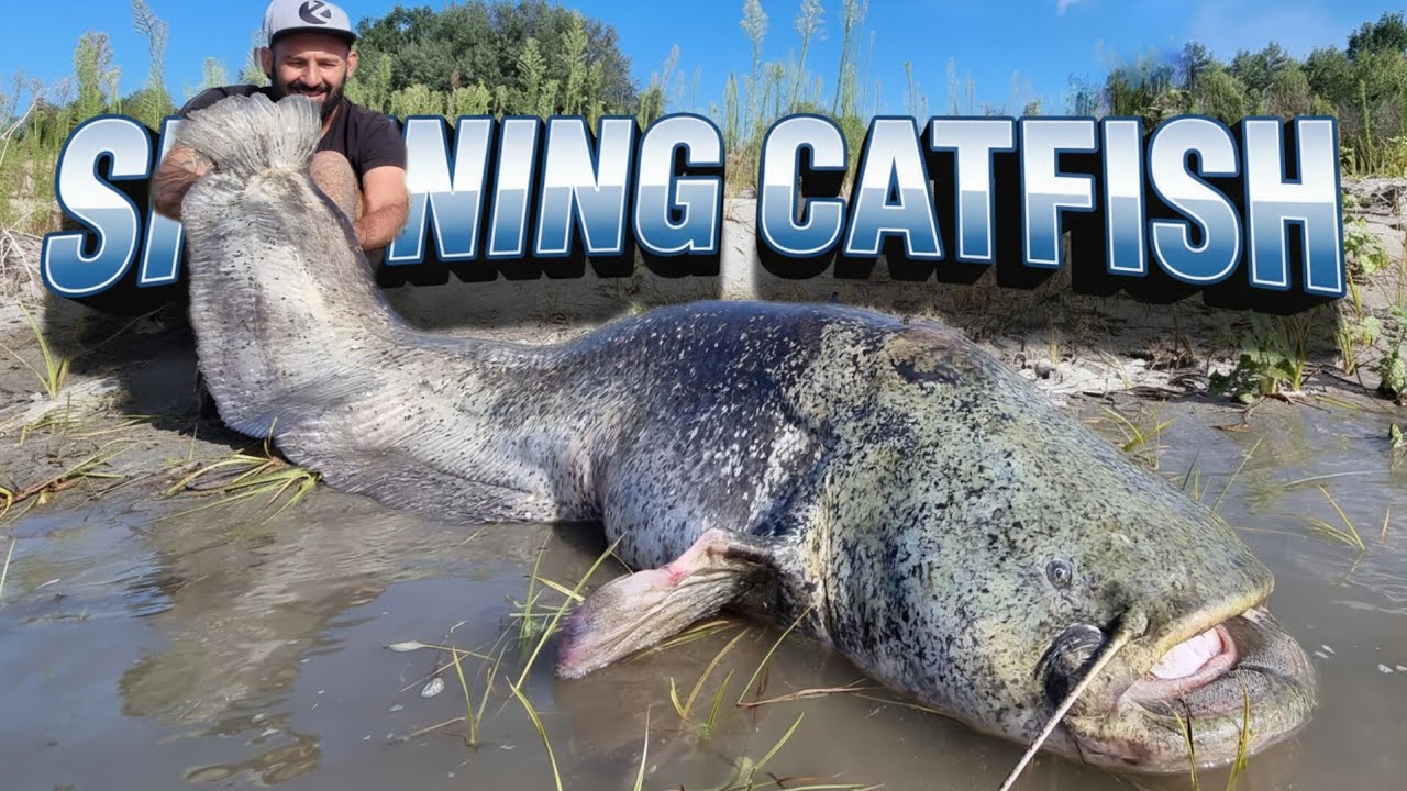 Battaglia epica con un siluro mostruoso sul fiume Po by Yuri Grisendi