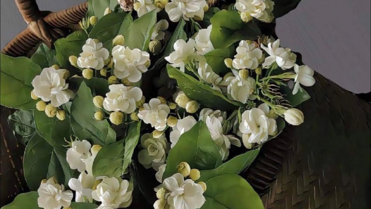 Thông điệp ngẫu nhiên về tình cảm - Năng lượng hiện tại của hai người. (Trải bài không chọn tụ). 