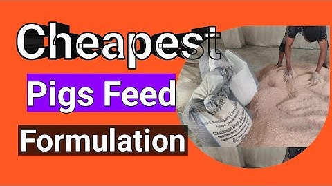 Very Cheap and low cost Pig feed formulation for profit ☺️