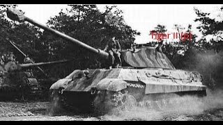 Tiger II (p) Expernice