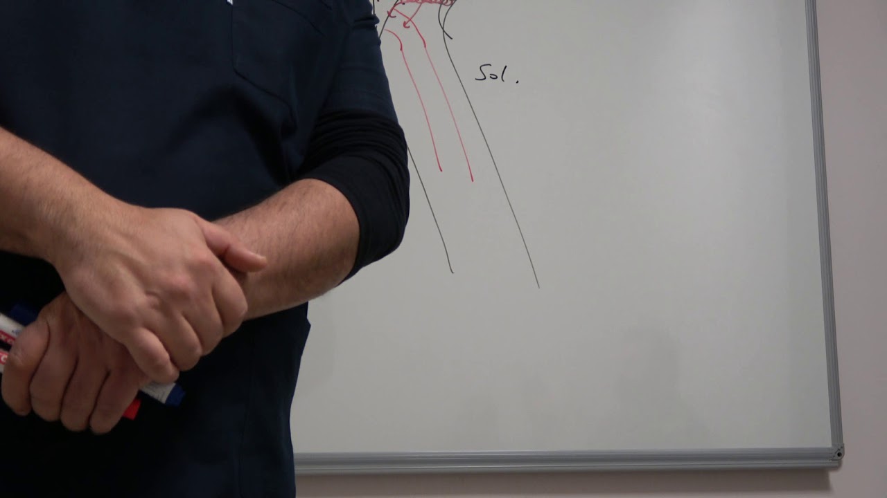 Pelvik Konjesyon Sendromu nedir, nasıl tedavi edilir? - Prof. Dr. Ahmet AKGÜL