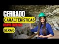 Cerrado - Características Gerais
