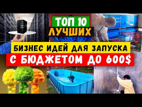 Видео: 