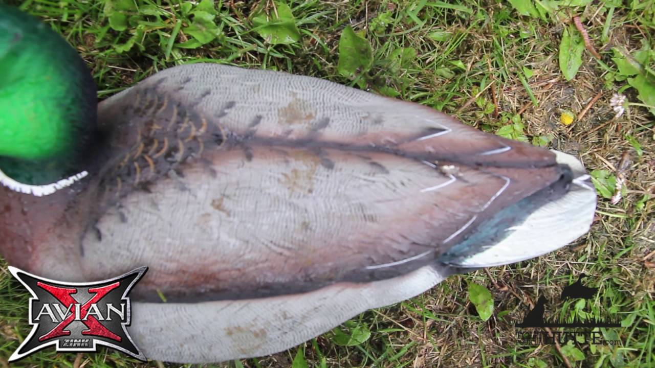 Test de résistance des blettes AvianX #5 - Toutpourlahutte.fr