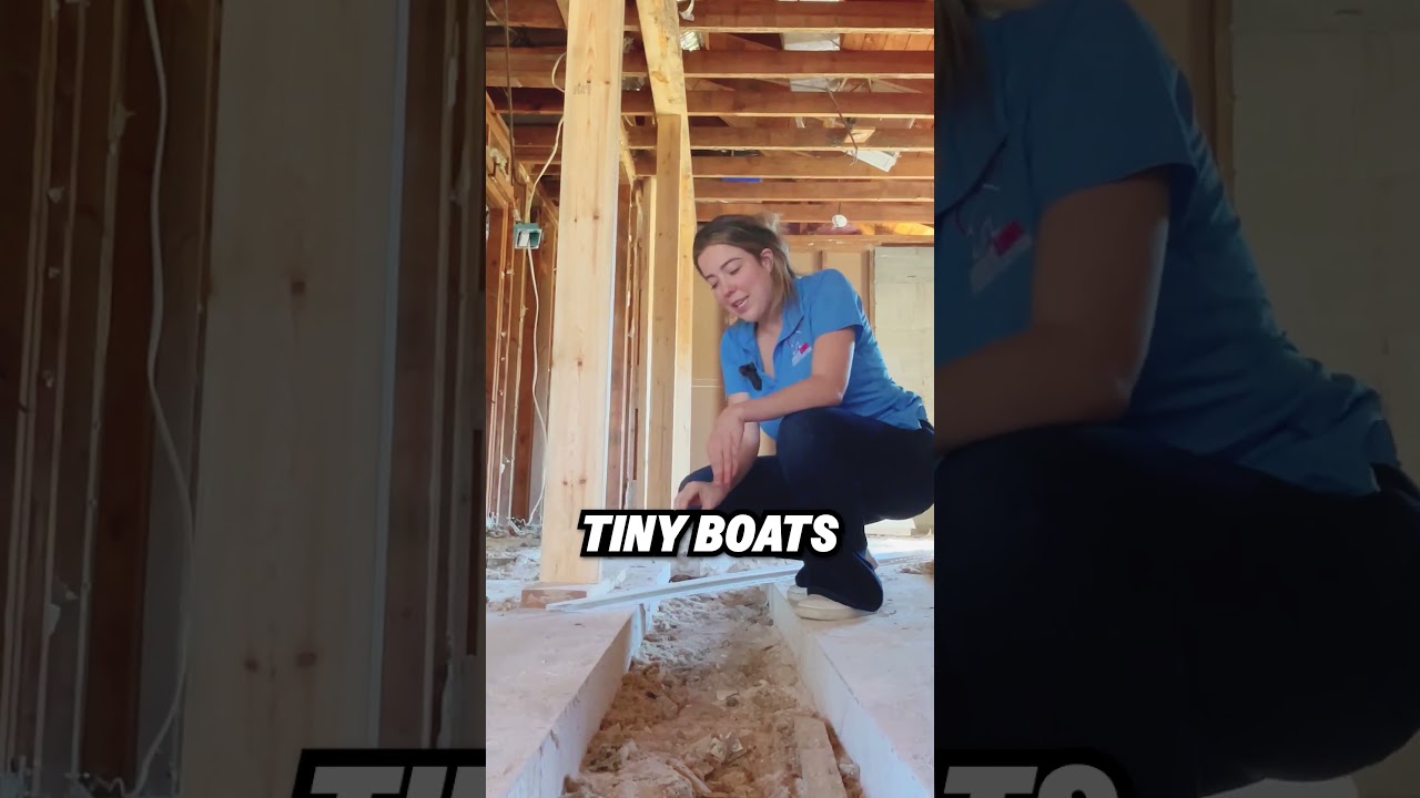 DID YOU KNOW? Why do we have moats in our recent project?