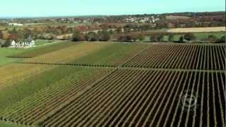 Newport Vineyards: Part 1 The Growing Season