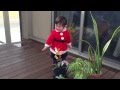 赤ちゃんサンタ 仕事放棄
