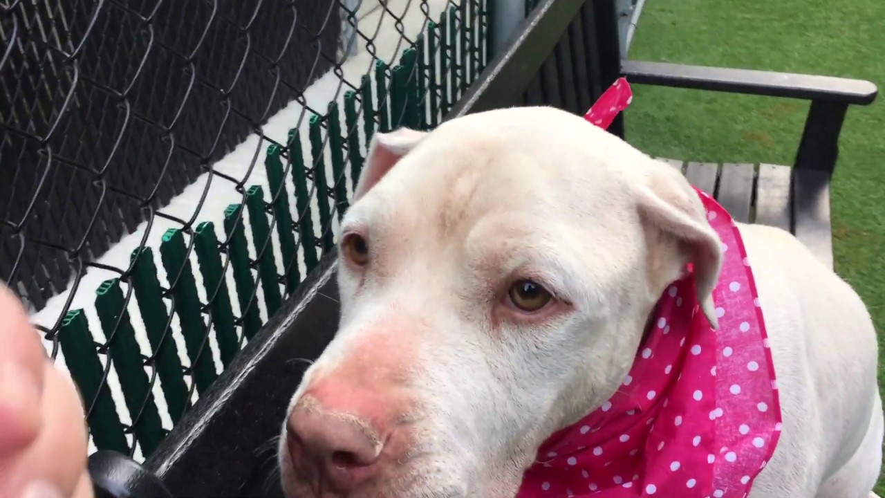 camera iphone 8 plus apk Treasure 52785 | Lovely Girl NYCACC