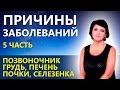 БОЛЕЗНИ И ИХ ПРИЧИНЫ (5ч): Позвоночник, грудь, печень ...