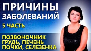 БОЛЕЗНИ И ИХ ПРИЧИНЫ (5ч): Позвоночник, грудь, печень ...