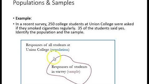 1.1 Intro to Statistics