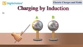 Charging By Induction || Physics || Class 12 || NEET Net Worth