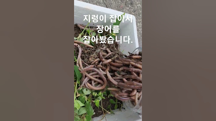 지렁이 잡아서 장어잡기~ #산지렁이 #말지렁이 #민물장어낚시 #장어낚시
