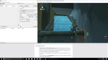 Cemu Camera Bug
