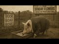 Boor, Boar, and Bore - A Music Video by The Sunday Flowers
