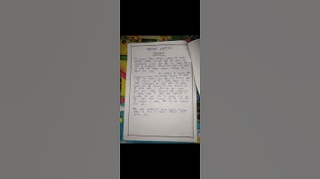 B.Ed internship report writing file