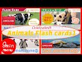 [English] フラッシュカード メドレー どうぶ つ1 赤ちゃんと 子供が喜ぶ 動物 海の生き物 幼児向け Animal Flashcards for toddler and kids