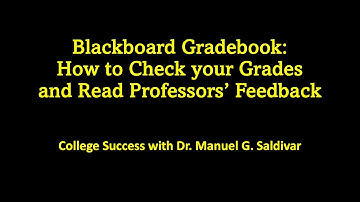How to check grades and professors