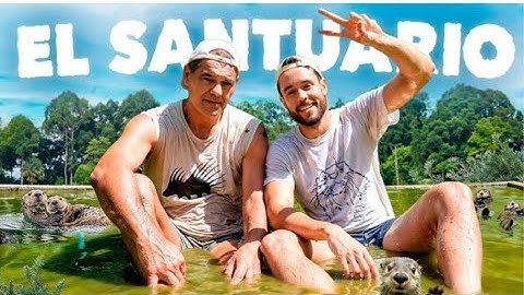 salvar el santuario de frank de juglas #clips #thegrefg