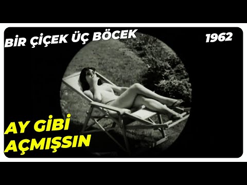 Bir Çiçek Üç Böcek - Ay Işığı Gibi Parlıyorsun | Leyla Sayar Orhan Günşiray | Yeşilçam Filmi